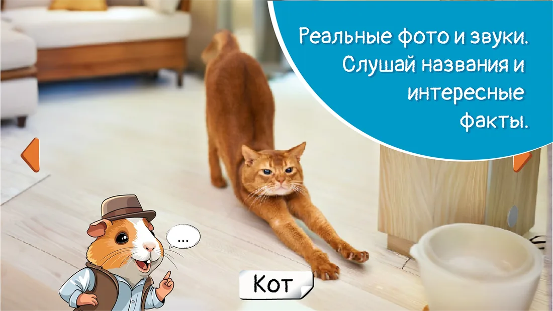 Фото кота с подписью