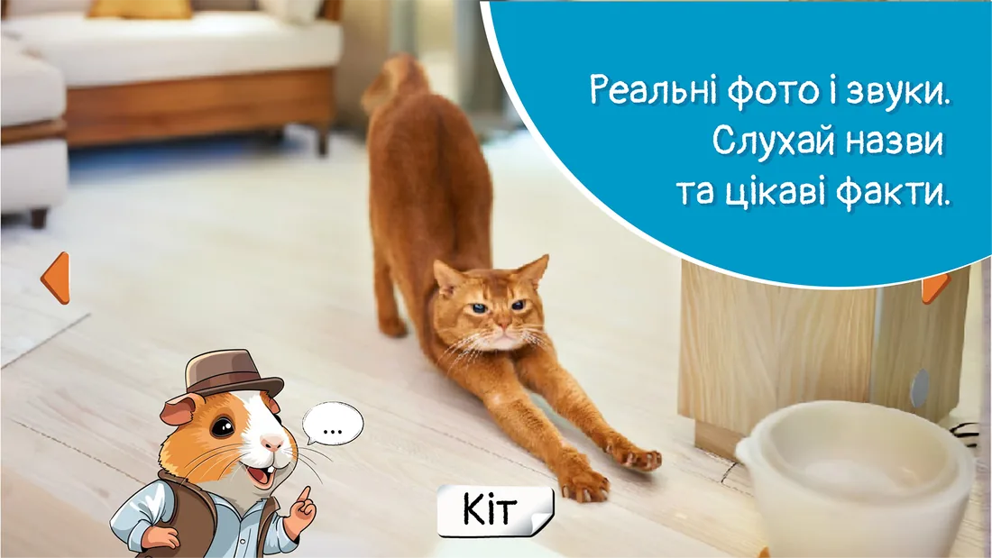 Фото кота з підписом
